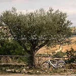 Luxury tent Glamping Uma Casanatura Cellino Attanasio
