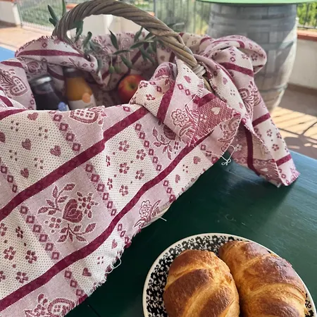 豪华帐篷 Glamping Uma Casanatura