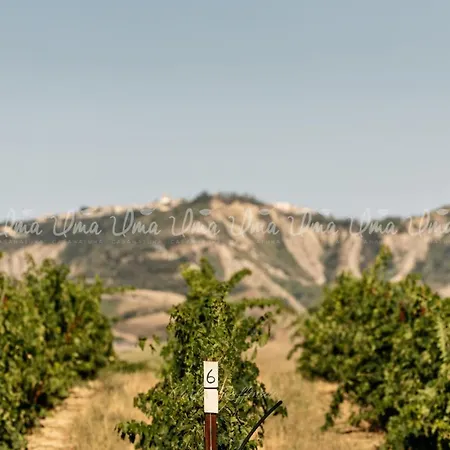 Glamping Uma Casanatura *