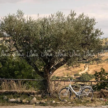 Οργανωμένο κάμπινγκ Glamping Uma Casanatura Cellino Attanasio