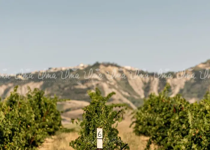 Glamping Uma Casanatura *