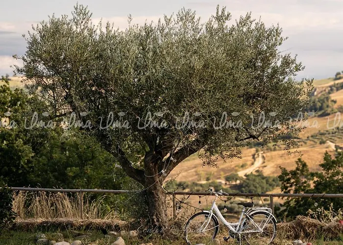 Luxury tent Glamping Uma Casanatura Cellino Attanasio