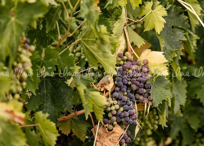 Luxuszelt Glamping Uma Casanatura Cellino Attanasio